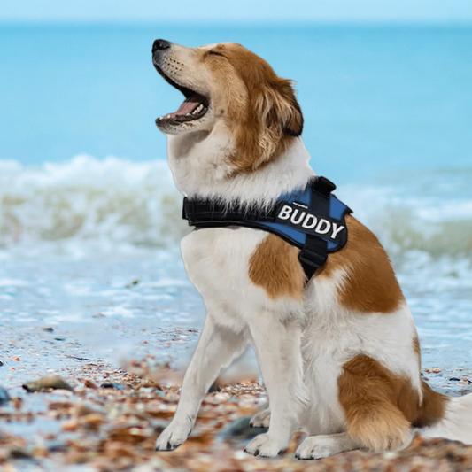 No Pull Personalized Dog Harness Lifetime Warranty